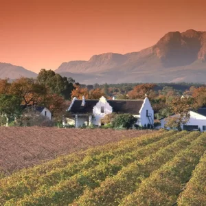 Discover Capetown